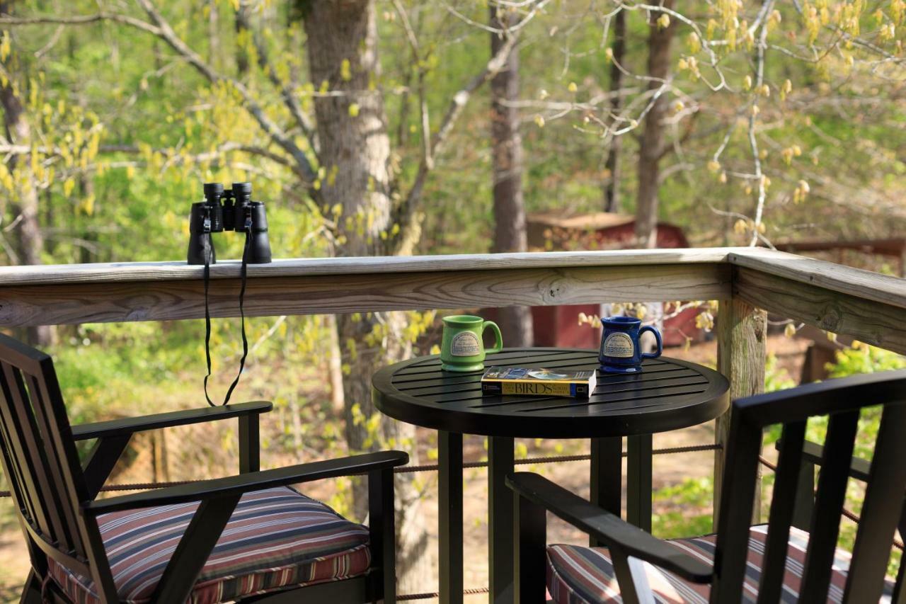 Tiffany'S Bed And Breakfast Bismarck Extérieur photo